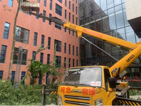 福建省图书馆未雨绸缪 修剪树木筑牢安全屏障